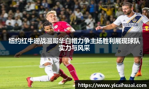BB贝博