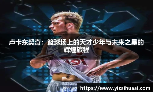 BB贝博