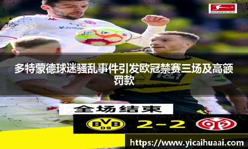 多特蒙德球迷骚乱事件引发欧冠禁赛三场及高额罚款